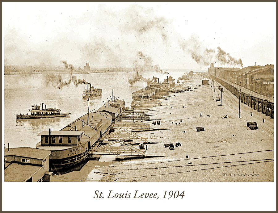 St. Louis Levee, 1904 #2 Photograph by A Macarthur Gurmankin