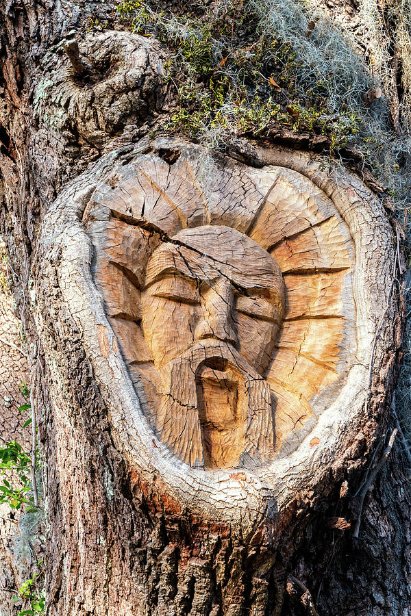 St. Simons Island Tree Spirit, Gascoigne Bluff, St. Simons Islan #2 Photograph by Dawna Moore Photography