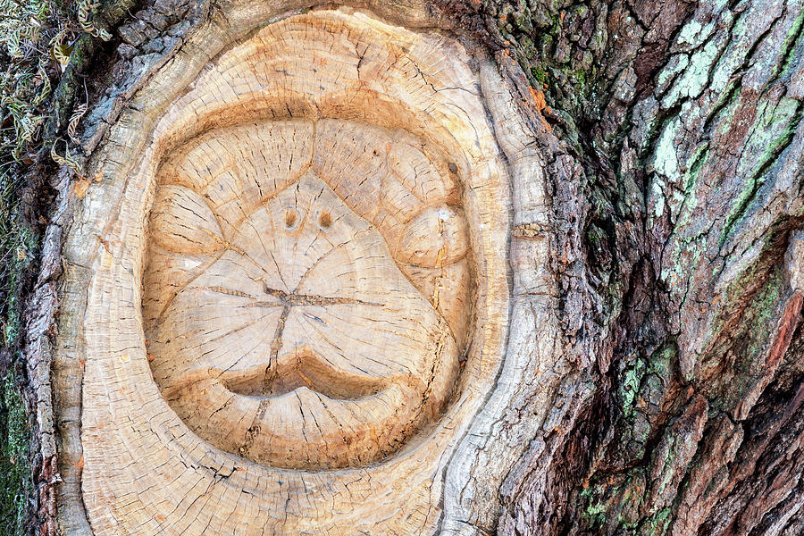 St. Simons Island Tree Spirit, Mallery Park, St. Simons Island,  #2 Photograph by Dawna Moore Photography