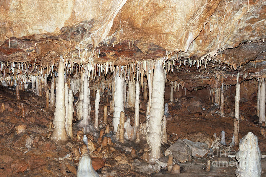 Stalactite Cave Photograph