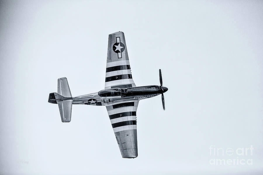 Stallion 51 - P-51D Mustang - Crazy Horse 2 #1 Photograph by Rene Triay FineArt Photos