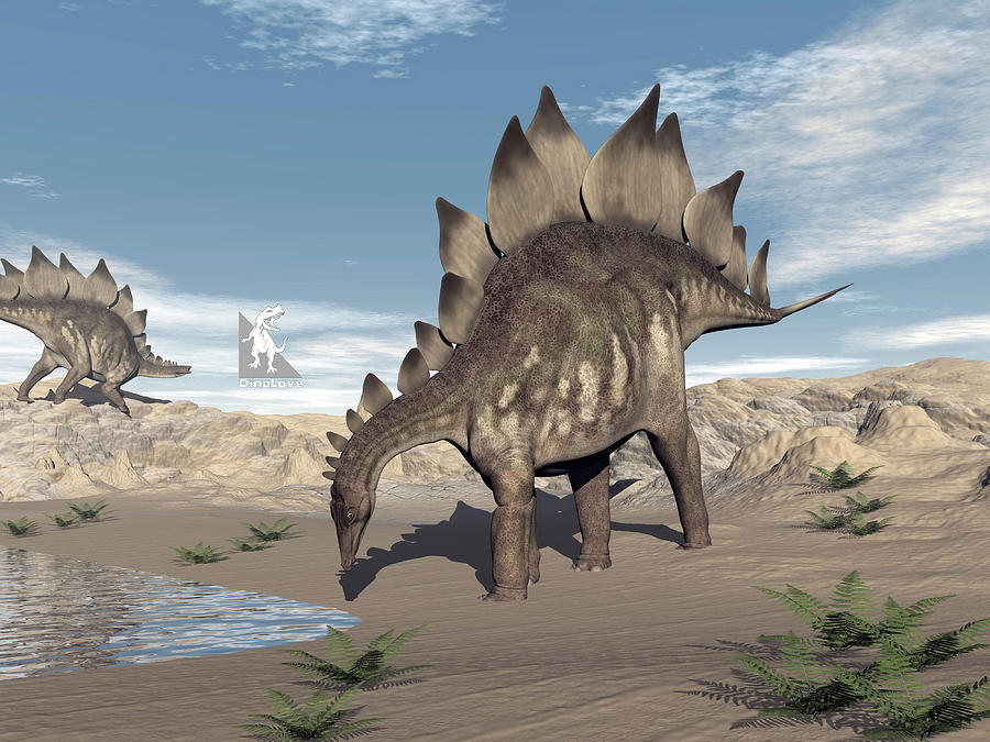 Stegosaurus near water - 3D render by Elenarts - Elena Duvernay Digital Art Stegosaurus near water - 3D render by Elenarts - Elena Duvernay Digital Art