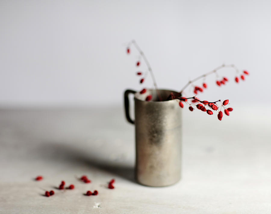 Still Life With Red Berries Photograph