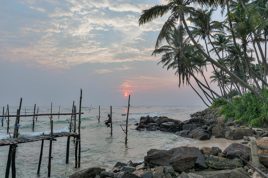 Stilt Fishermen - Sri Lanka #2 Photograph by Joana Kruse