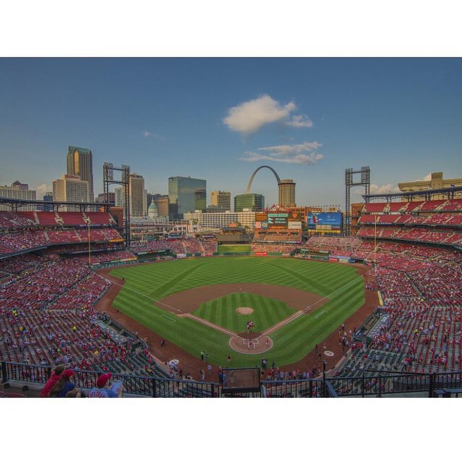 Buy Photograph - #stlouiscardinals #cardinals by David Haskett II Buy Photograph - #stlouiscardinals #cardinals by David Haskett II
