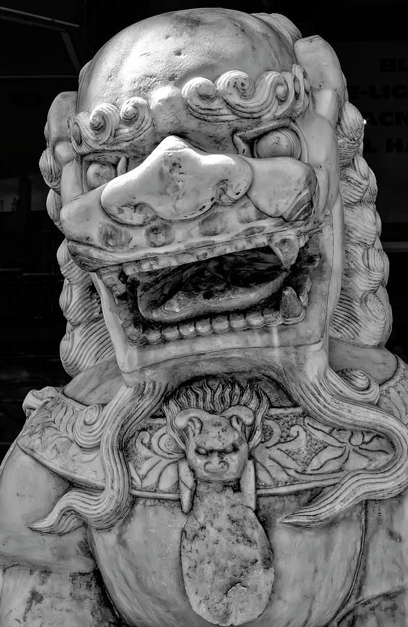 Lion Statue Photograph - Stone Lion Chinatown NYC #2 by Robert Ullmann
