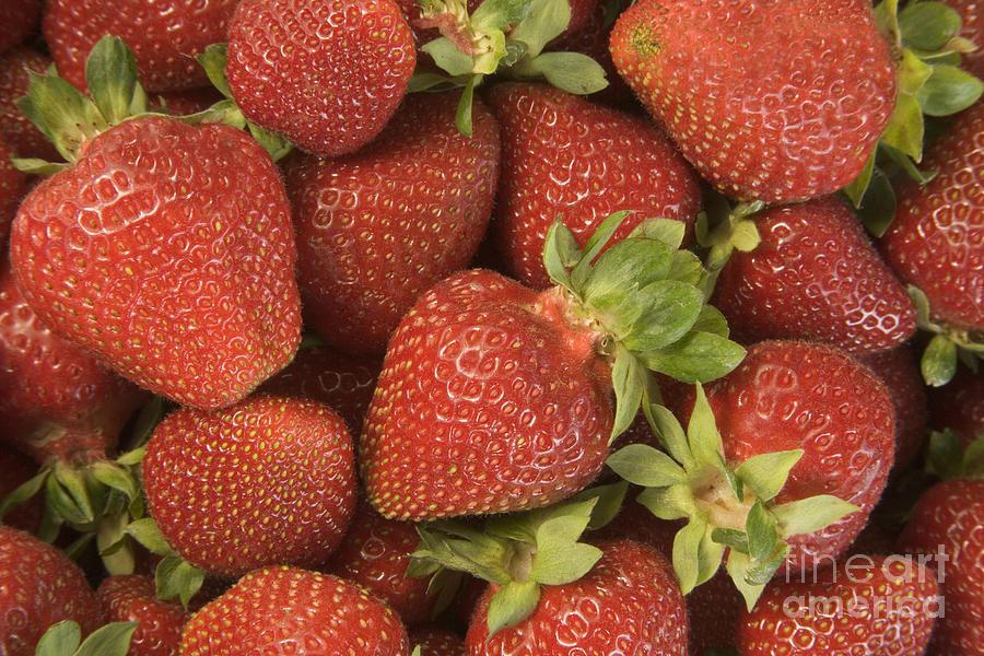 Strawberries #2 Photograph by Inga Spence
