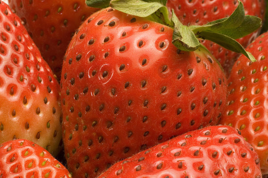 Strawberries #2 Photograph by Douglas Pulsipher