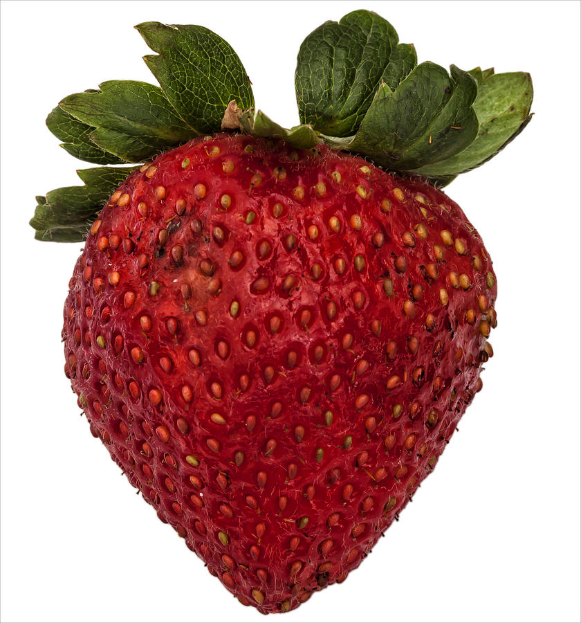 Strawberry #2 Photograph by Robert Ullmann