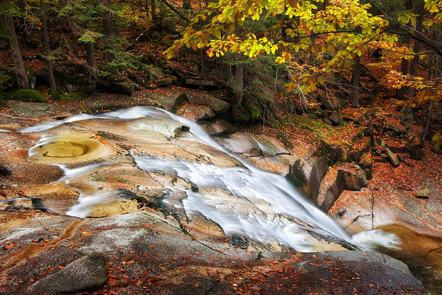 Stream in Autumn Mountain Forest #2 Photograph by Artur Bogacki
