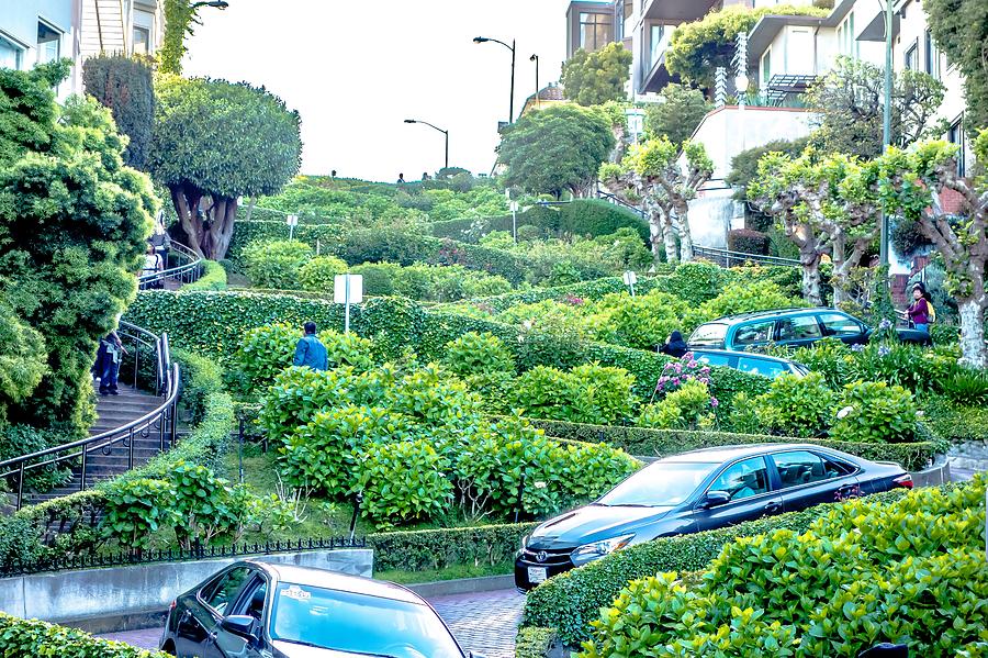 Street Views And Scenes Around San Francisco California #2 Photograph by Alex Grichenko