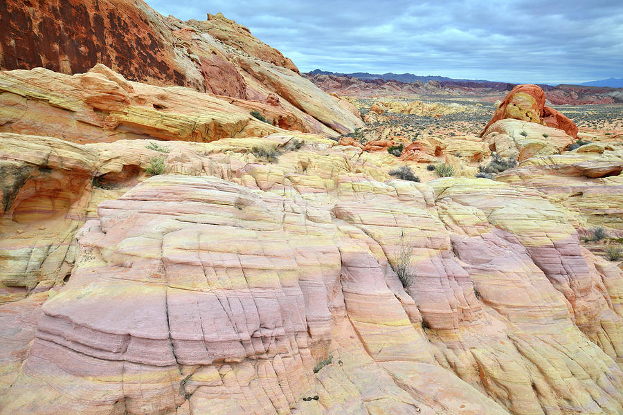 Stripes of Color in Valley of Fire #3 Photograph by Ray Mathis