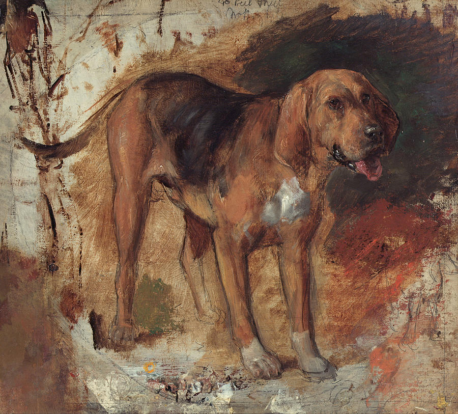 Study of a bloodhound #3 Painting by William Holman Hunt