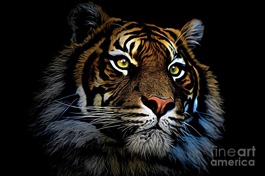 Sumatran tiger  #2 Photograph by Sheila Smart Fine Art Photography
