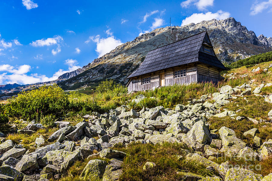 Spring Photograph - Summer in 5 lakes valley in High Tatra Mountains, Poland. #2 by Mariusz Prusaczyk