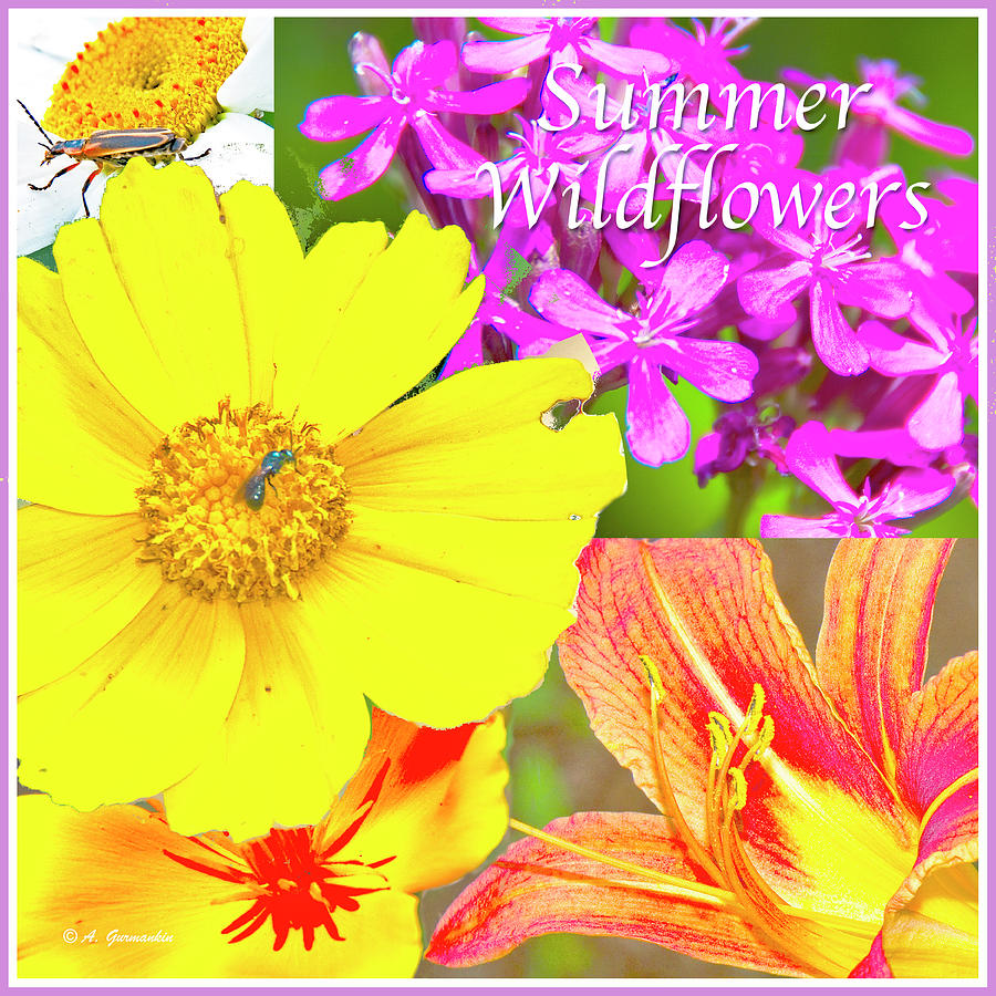 Summer Wildflowers Poster Image #2 Digital Art by A Macarthur Gurmankin