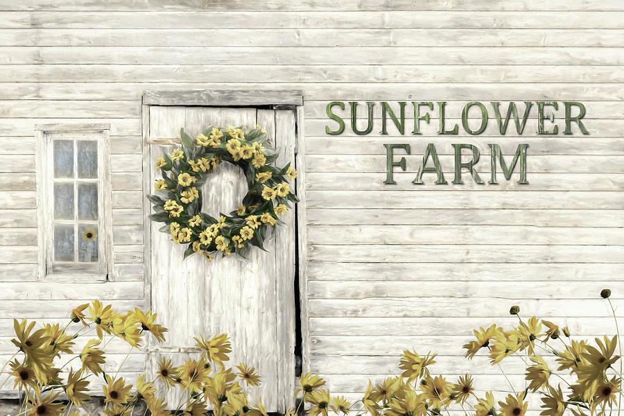 Sunflower Farm #1 Photograph by Lori Deiter