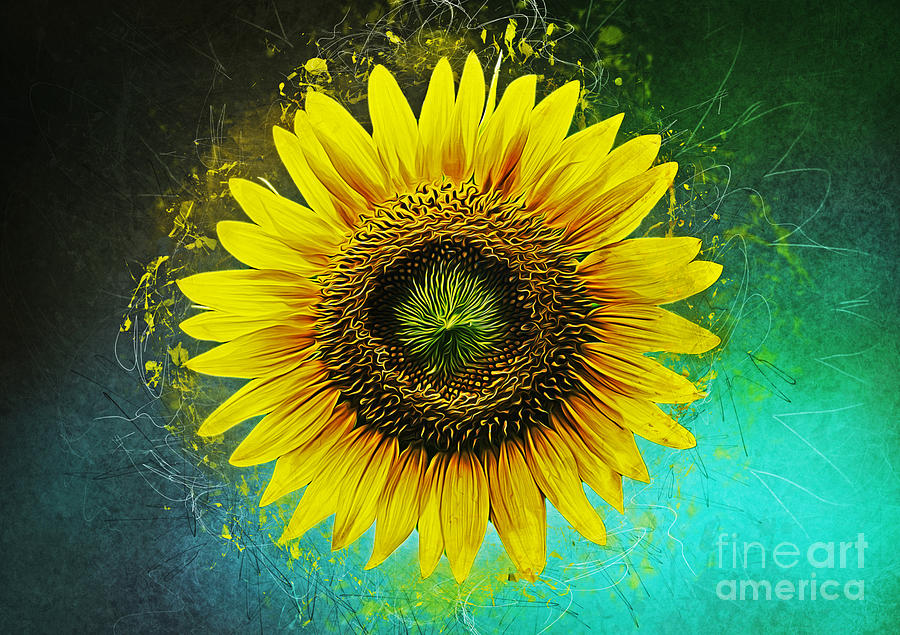 Sunflower #2 Mixed Media by Ian Mitchell