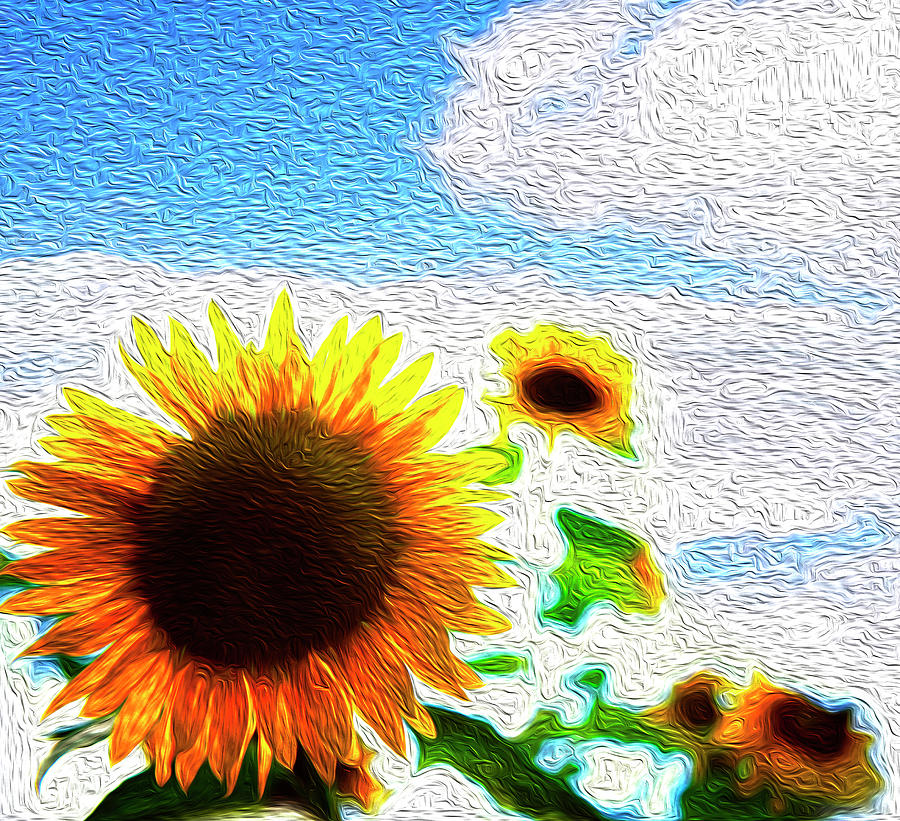 Sunflowers abstract #2 Digital Art by Les Cunliffe