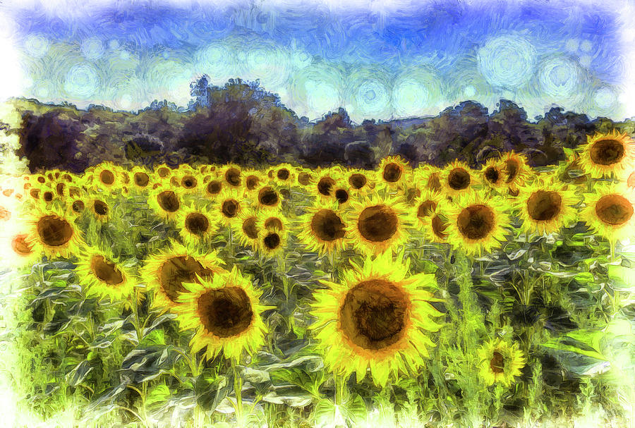 Sunflowers Van Gogh Photograph