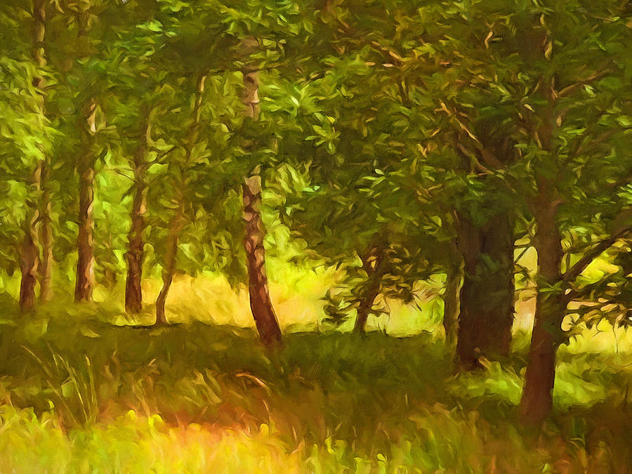 Sunlight Forest #2 Painting by Lutz Baar