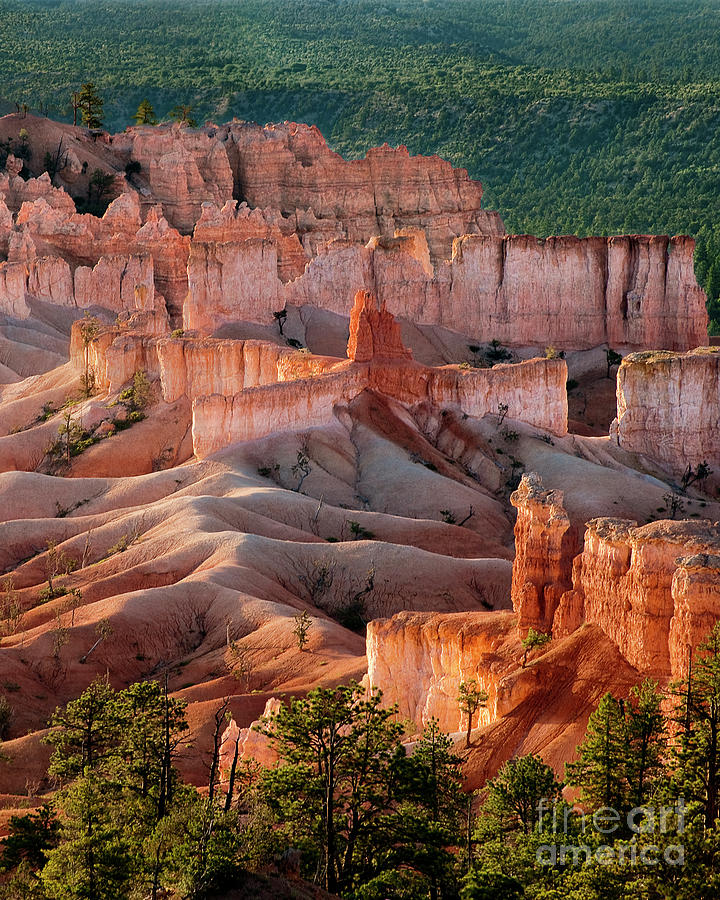 Sunrise At Bryce Canyon National Park Utah #2 Photograph by Dave Welling