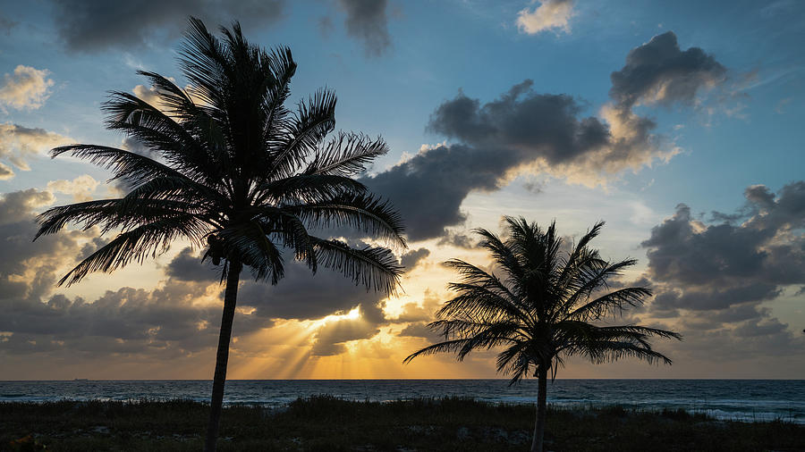 Sunrise Palms Delray Beach Florida #2 Photograph by Lawrence S Richardson Jr