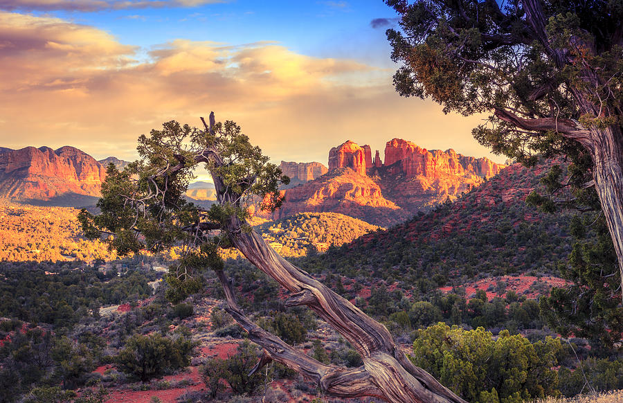 Sundown at Cathedral Rock Photograph by Alexey Stiop