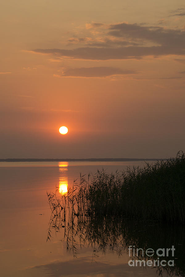 Sunset  #3 Photograph by Inge Riis McDonald