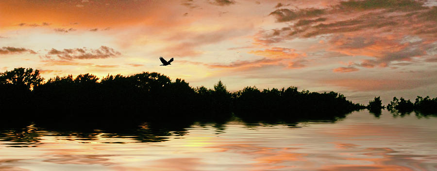 Sunset Pond #2 Photograph by Jessica Jenney