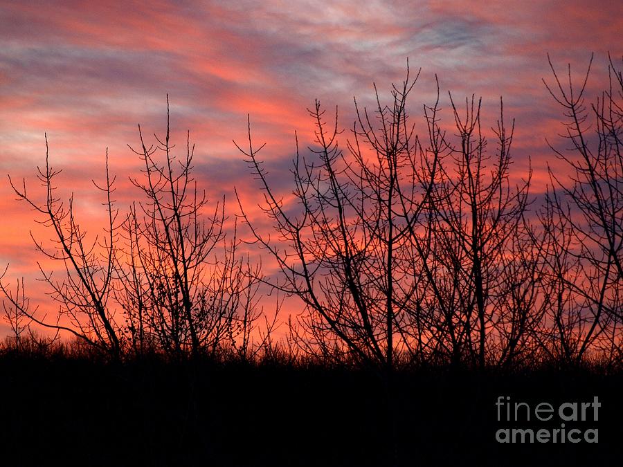Sunset #2 Photograph by Raymond Earley