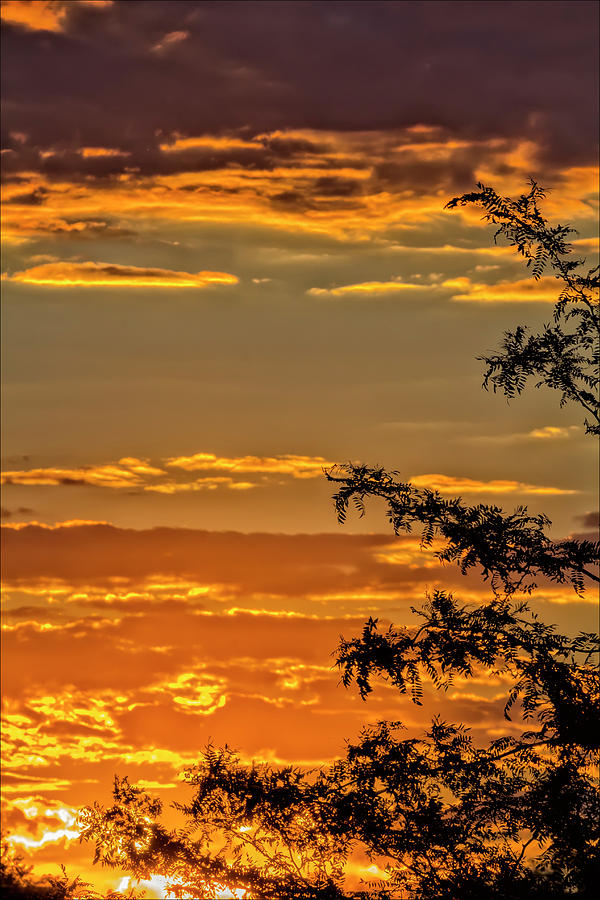 Sunset Sky and Clouds #2 Photograph by Robert Ullmann