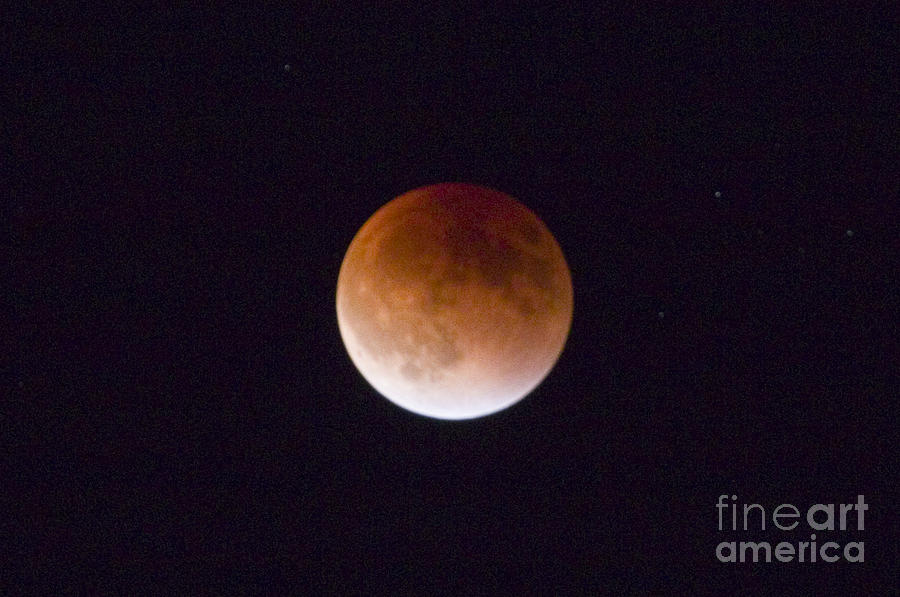 Super Blood Moon #3 Photograph by Steven Krull