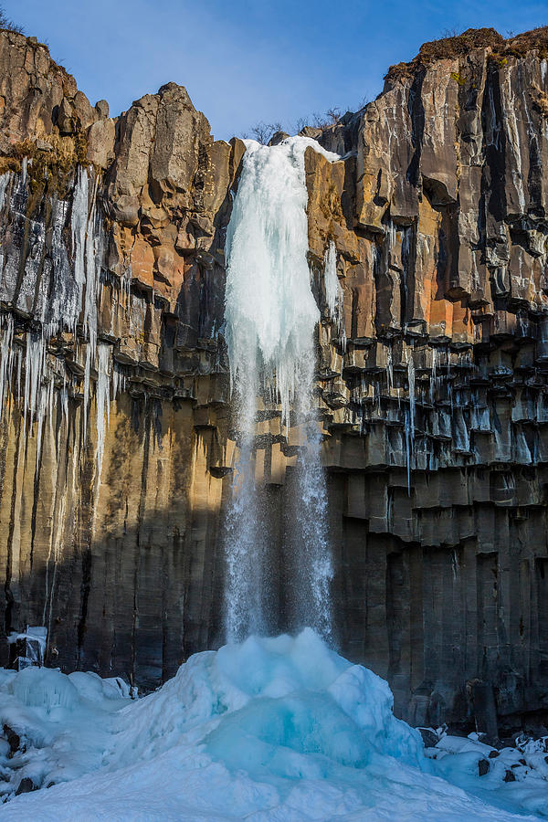 Svartifoss Waterfall Icelandblack Falls Photograph By Panoramic Images