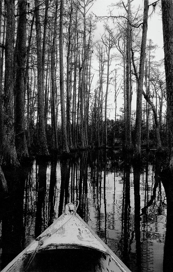 Swamp Boat #2 Photograph by Shirley Radabaugh