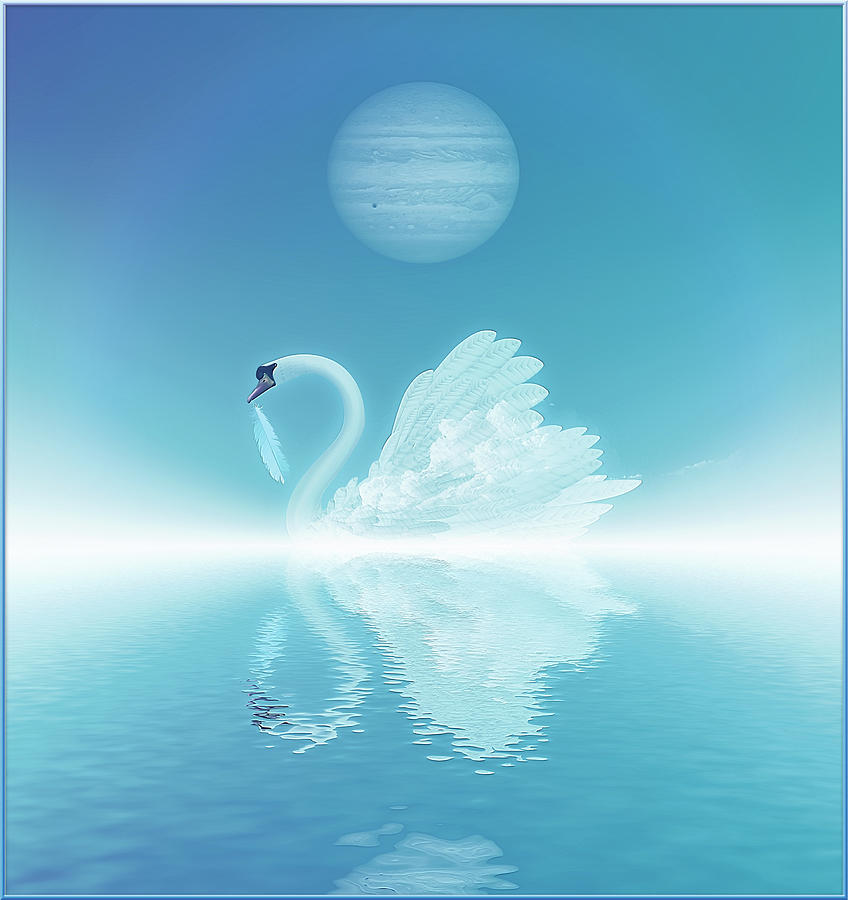 Swan #2 Digital Art by Harald Dastis