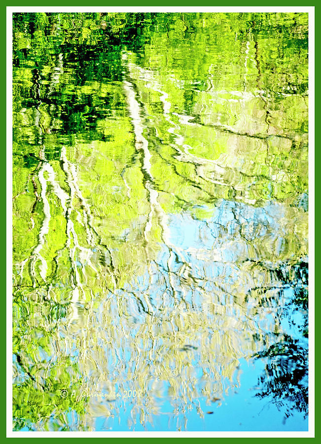 Sycamore Trees Reflected in a Stream #2 Photograph by A Macarthur Gurmankin
