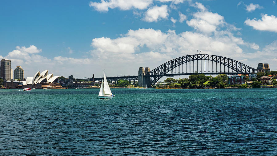 Sydney Harbor #6 Photograph by Walt Sterneman