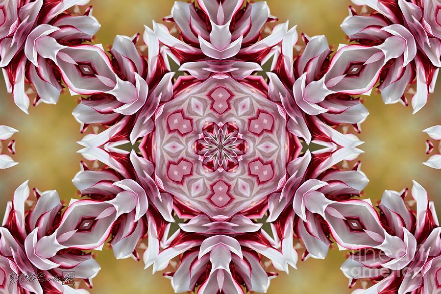 Tartan Mandala #5 Digital Art by J McCombie