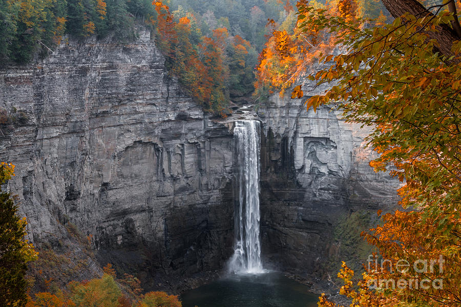 Taughannock Gorge #2 Photograph by William Norton