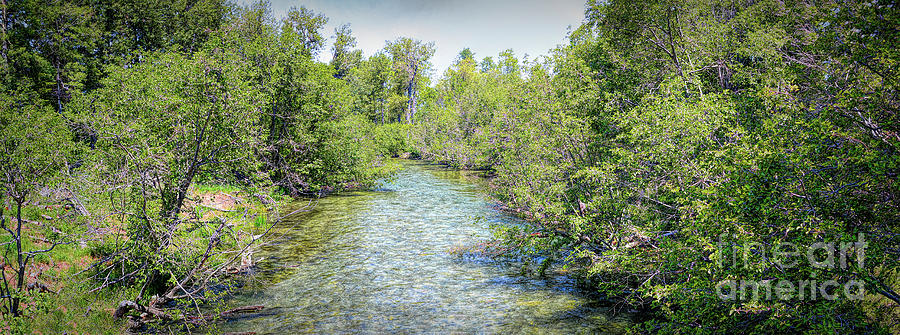 Taylor Creek #2 Photograph by Joe Lach