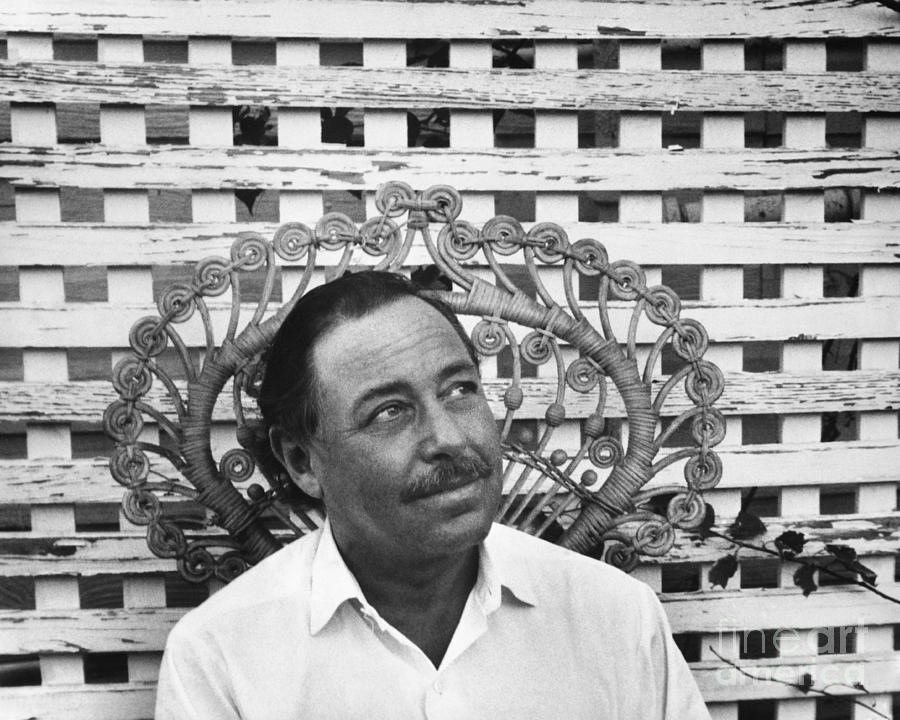 Tennessee Williams #2 Photograph by George Daniell