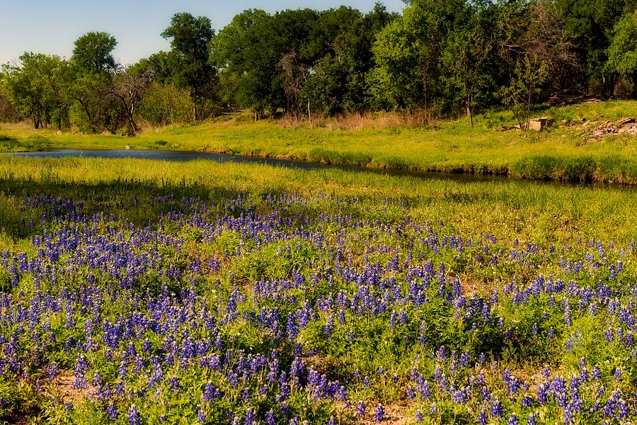 Texas Hill Country Bluebonnets #2 Photograph by Mountain Dreams