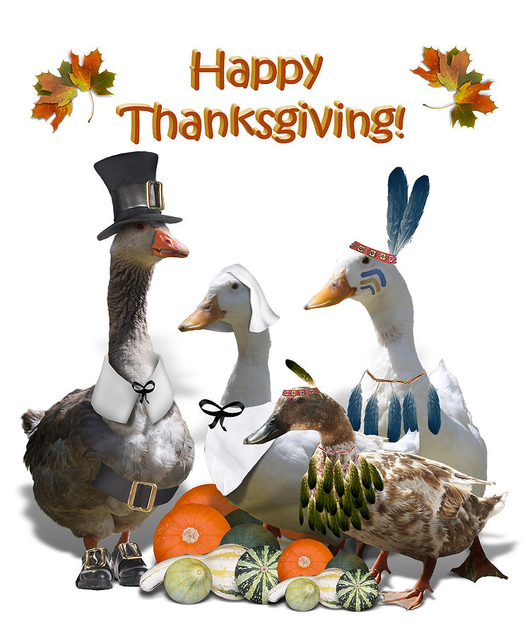 Thanksgiving Ducks #3 Mixed Media by Gravityx9 Designs