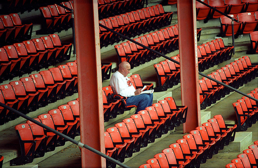 The Baseball Fan II #2 Photograph by Frank Romeo