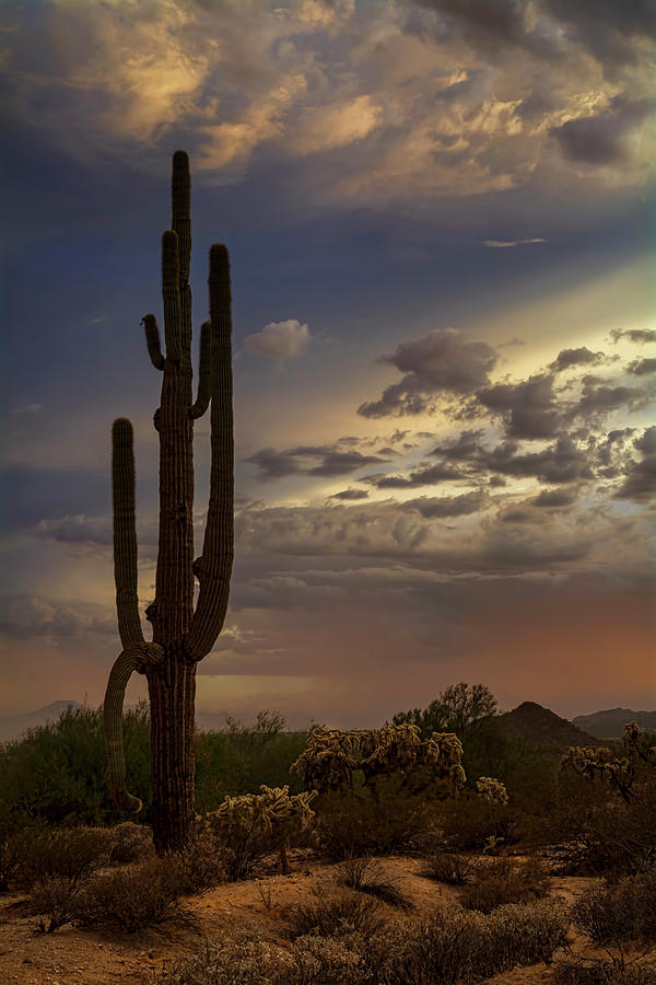 The Beauty of the Desert Skies Photograph by Saija Lehtonen | Fine Art ...