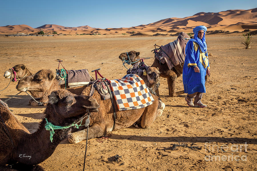 The Camel Driver and His Camels Photograph by Rene Triay FineArt Photos
