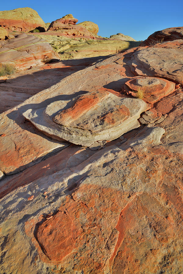 The Colors of Valley of Fire #2 Photograph by Ray Mathis