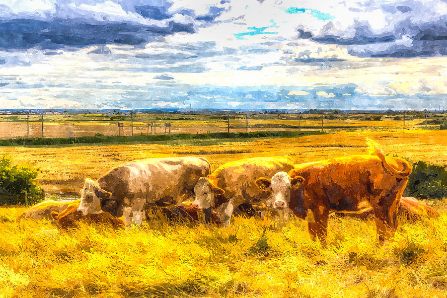 The Friendly Cows Art #2 Photograph by David Pyatt