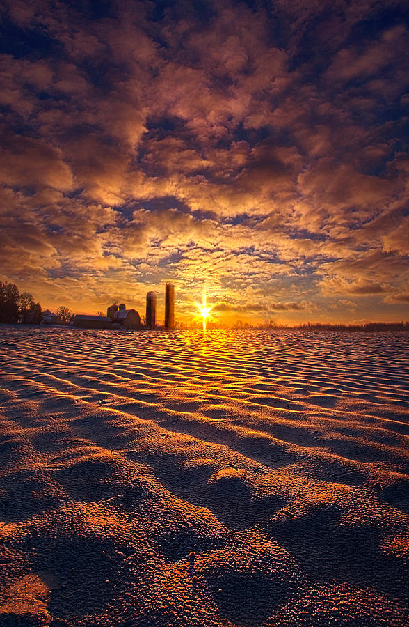 Winter Photograph - The Gift #2 by Phil Koch